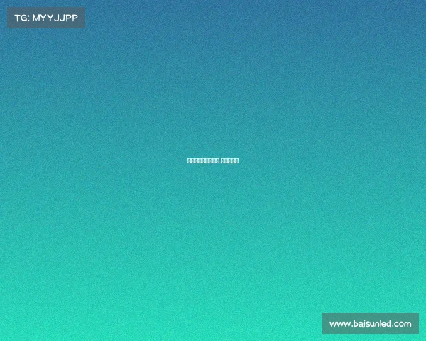 新加坡冠军格斗赛事 新加坡拳击